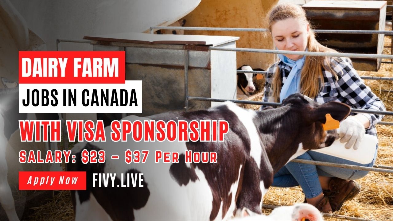 Dairy Farm Worker Jobs in Canada