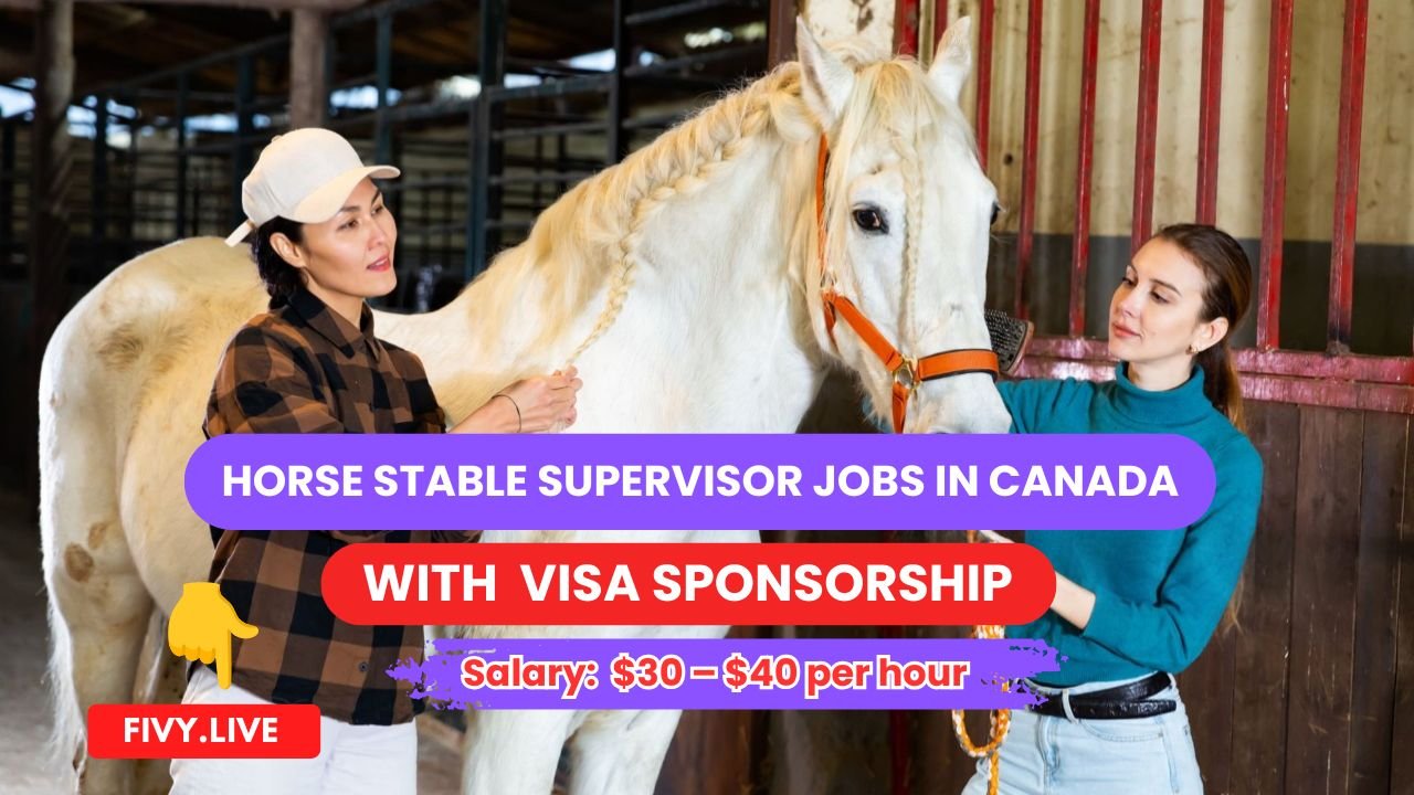 Horse Stable Supervisor Jobs in Canada